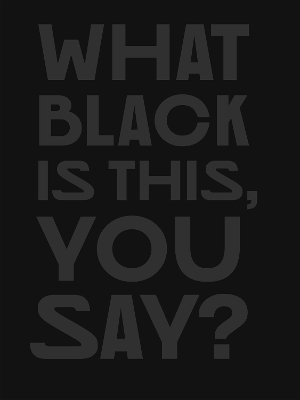 Amanda Williams What Black Is This You Say? /anglais