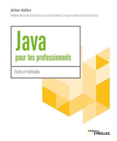 Java pour les professionnels : masterclass Java