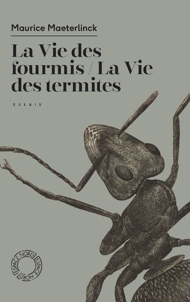 La vie des termites. La vie des fourmis